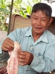 жир питона-1.jpg